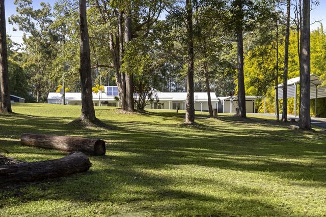 Shady gums across the grounds